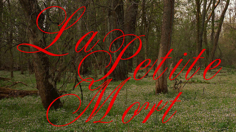 Image: Please upload an image CROPPED TO 500px WIDE