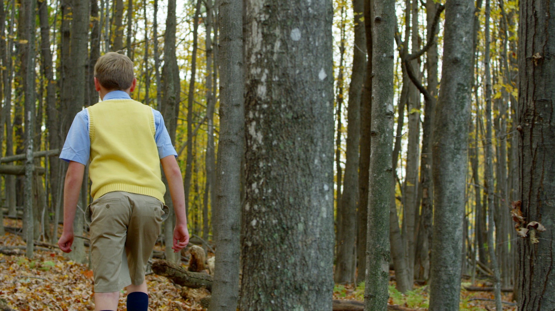 Image: Please upload an image CROPPED TO 500px WIDE