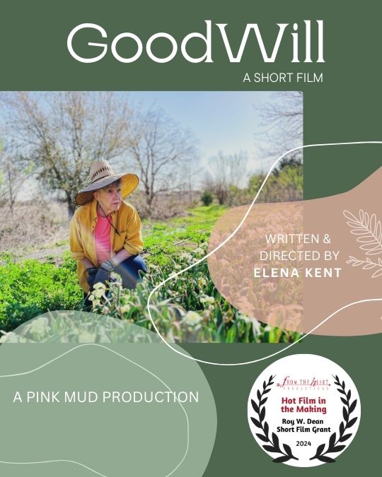 Image: Please upload an image CROPPED TO 500px WIDE