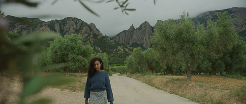 Image: Please upload an image CROPPED TO 500px WIDE