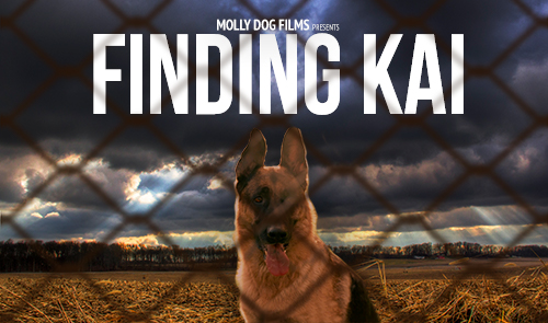 Finding Kai