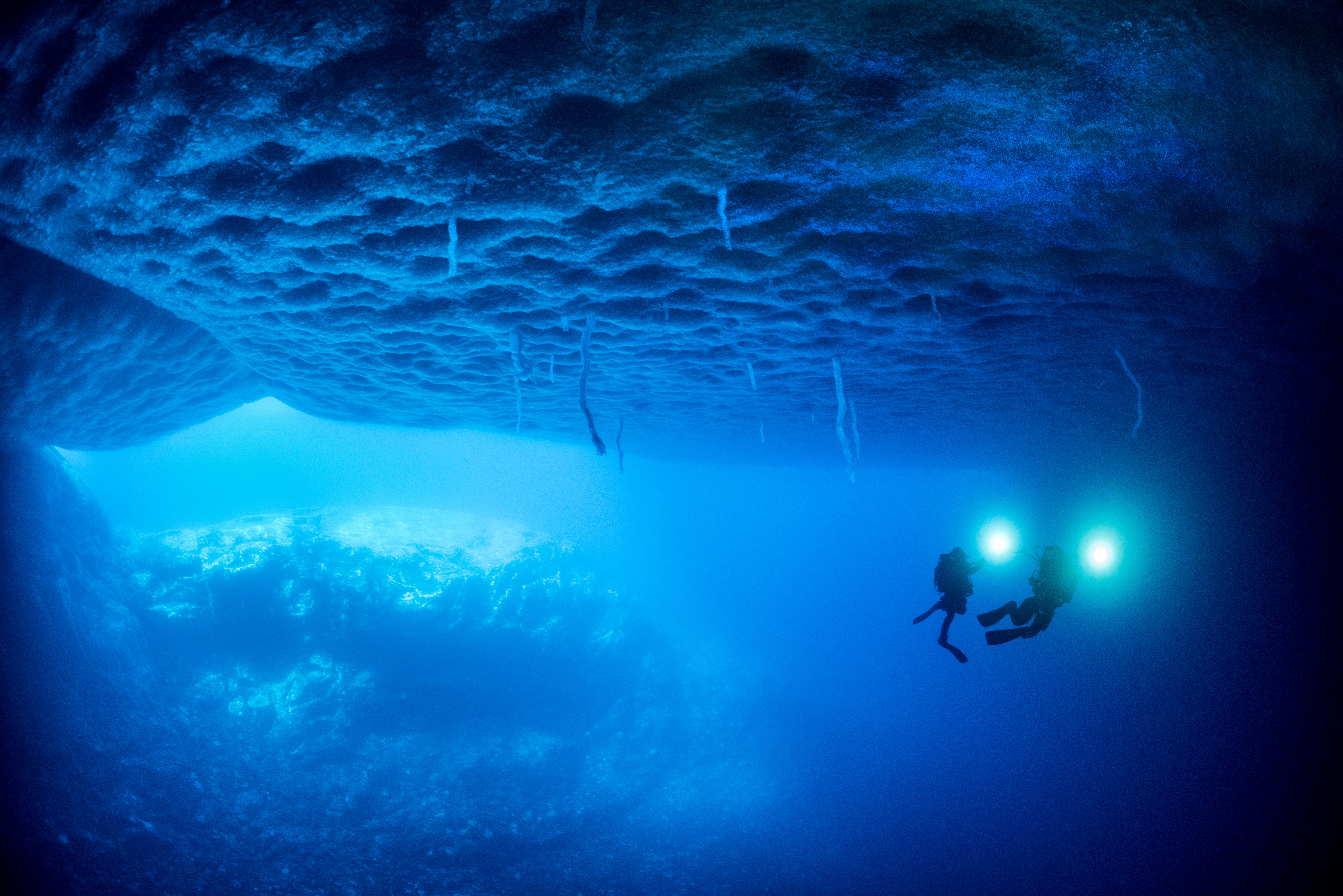 Press 4 Stalactites Doigts De Glace Sous La Banquise C Laurent Ballesta Expedition Wild Touch Antarctica From The Heart Productions Incfrom The Heart Productions Inc